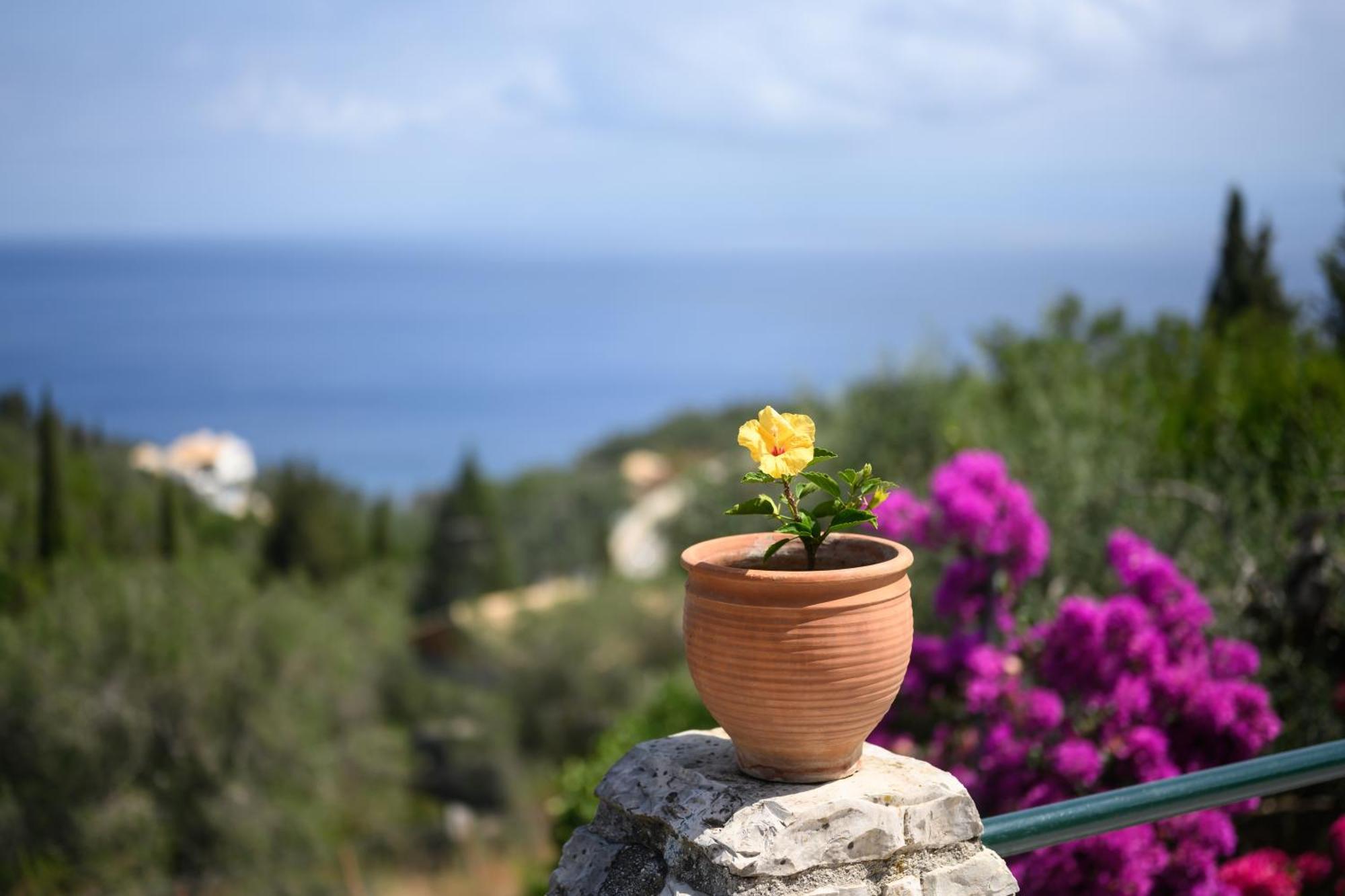 Villa Estia Ieromonachos المظهر الخارجي الصورة